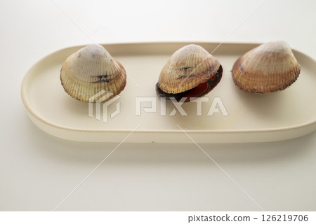 Sushi topping: cockle 126219706