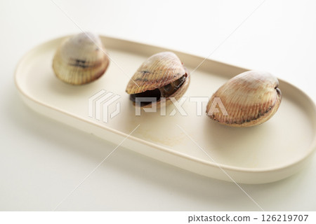 Sushi topping: cockle Sushi topping: cockle 126219707