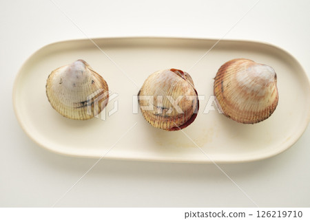 Sushi topping: cockle Sushi topping: cockle 126219710