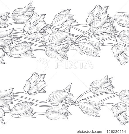 Stripe pattern with black and white linear tulips. Floral seamless border with hand drawn spring flowers 126220234
