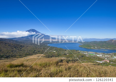 [山梨縣]從Teppokinoto眺望富士山和山中湖 126220341
