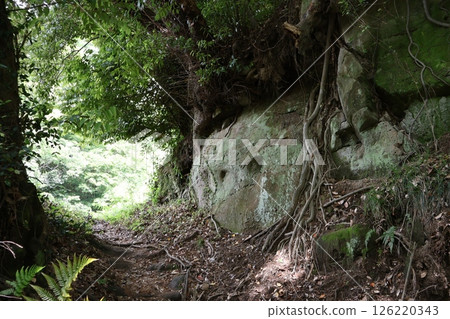 明月院入口 切通山口（神奈川縣鎌倉市山之內） 126220343