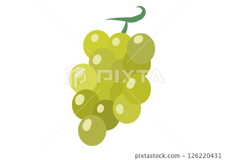 Illustration of a simple Muscat 126220431