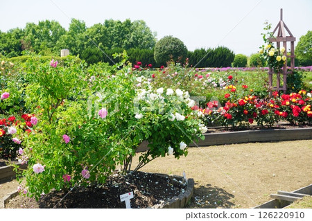 Izumi Recycling Environment Park 126220910