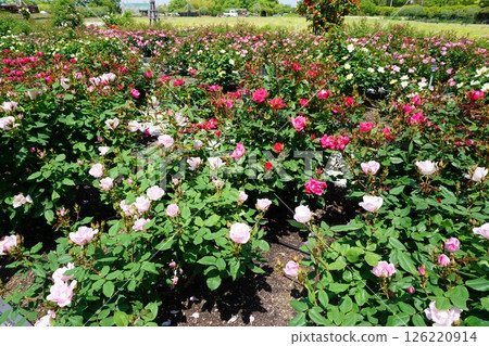 Izumi Recycling Environment Park 126220914