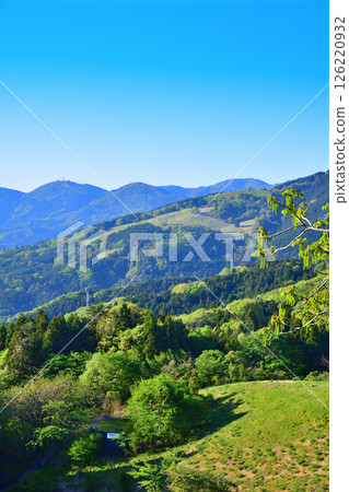 從東秩父村秩父高原牧場眺望的清爽山景 126220932