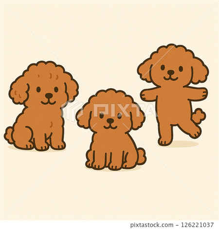 三個玩具貴賓犬兄弟 126221037