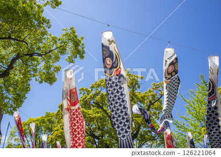 鯉魚旗和新綠的樹木在藍天中游動 鯉魚旗和新綠的樹木在藍天中游動 126221064