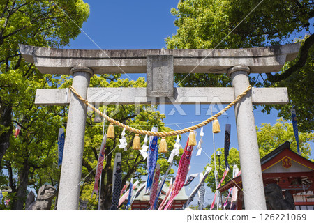 鯉魚旗和新綠的樹木在藍天中游動 鯉魚旗和新綠的樹木在藍天中游動 126221069