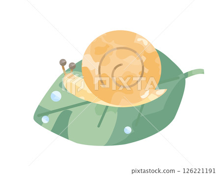 Illustration of a snail on a leaf 126221191