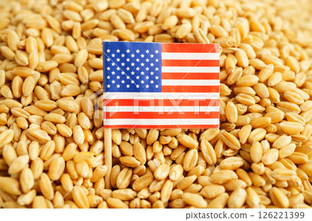 USA America flag on grain wheat, trade export and economy concept. 126221399