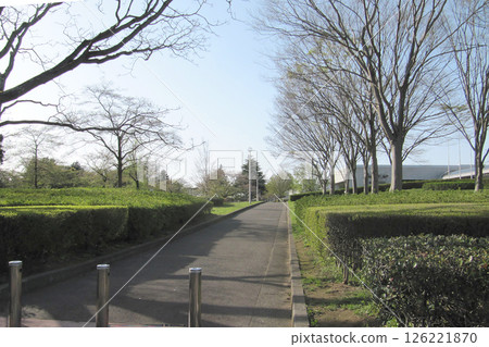 Scenery of Sakura Castle Park [Sakura Castle Ruins, one of Japan's 100 Great Castles] Sakura City, Chiba Prefecture 126221870