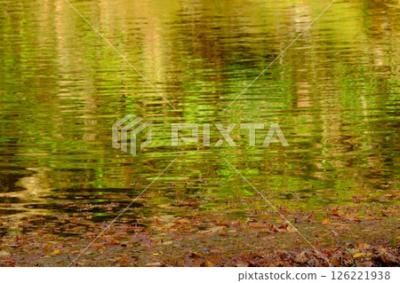 秋季貴船川和堰 126221938