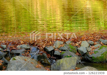秋季貴船川和堰 126221939