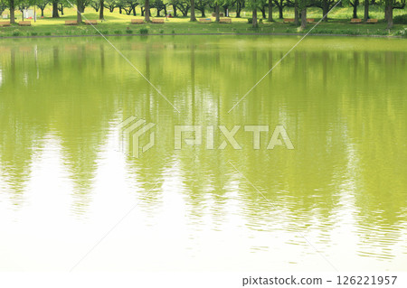 有池塘的公園 126221957