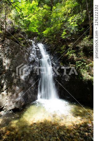 大島瀑布（愛知縣新城市東海自然步道） 126222102