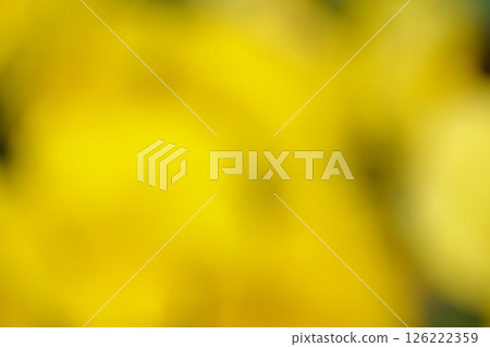 使用植物的黃色背景材料 126222359