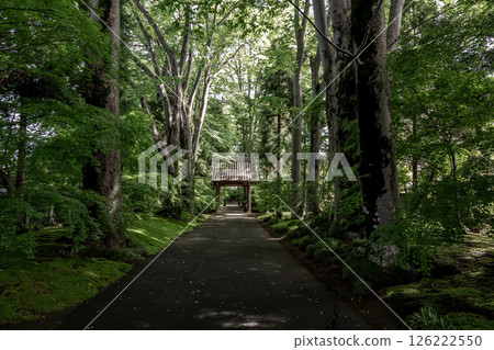 The Sanmon Gate of Saishoji Temple, known for its moss garden (Chikusei City, Ibaraki Prefecture) 126222550