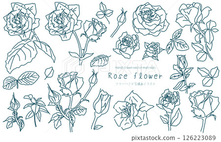 Simple rose line drawing illustration set Simple rose line drawing illustration set 126223089