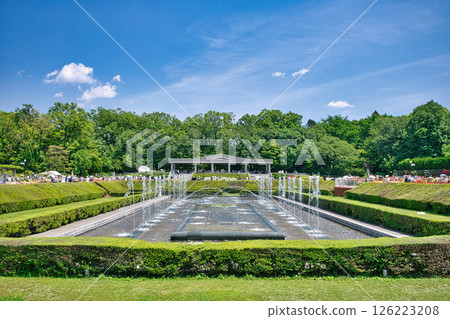 Tokyo Jindai Botanical Gardens Rose Garden Spring Rose Season 126223208