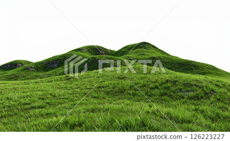 3D render of green grass hill isolated on white background. 126223227