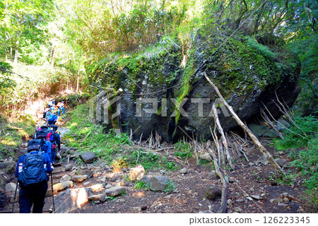 Kintoki-yadori stone and a line of climbers on the Kintoki Shrine route, Hakone, Kanto, Kanagawa Prefecture (1) 126223345