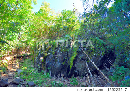 金時山, 箱根, 關東, 金時神社路線, 金時宿裡石頭與健行路線, 箱根町, 神奈川縣 金時山, 箱根, 關東, 金時神社路線, 金時宿裡石頭與健行路線, 箱根町, 神奈川縣 126223347