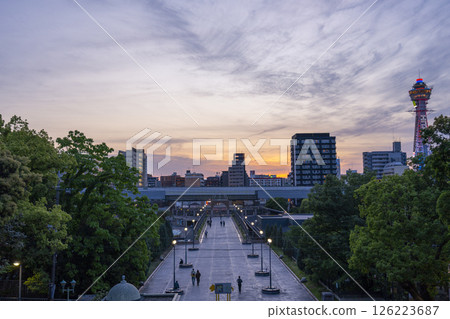 天王寺公園：從新世界門到大阪市立美術館的道路 126223687