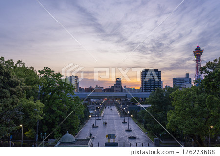 天王寺公園:從新世界門到大阪市立美術館的道路 天王寺公園:從新世界門到大阪市立美術館的道路 126223688