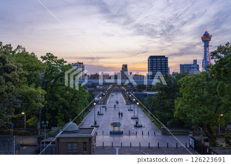 天王寺公園:從新世界門到大阪市立美術館的道路 天王寺公園:從新世界門到大阪市立美術館的道路 126223691