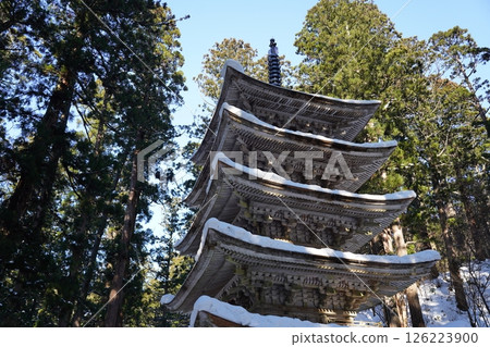Snow-covered five-story pagoda 126223900