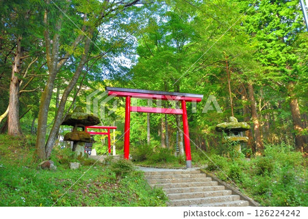 Kintoki-san, Hakone, Kanto, Kintoki-jinja route trailhead, Kintoki-jinja Shrine torii gate, Hakone-machi, Kanagawa Prefecture () 126224242