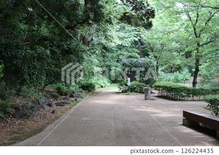 Oasis in the city 126224435