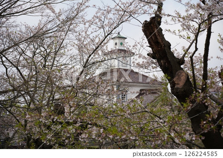 櫻花樹環繞的老建築 櫻花樹環繞的老建築 126224585