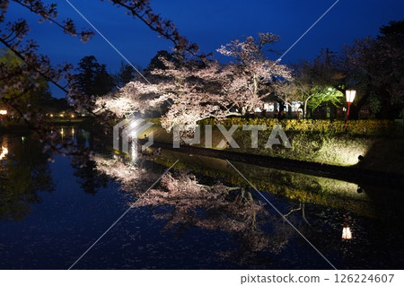 櫻花在晚上 櫻花在晚上 126224607