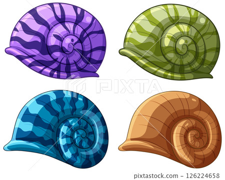 Colorful Nautilus Shells Vector Illustration 126224658