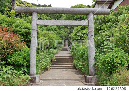 鳥居及白山神社參道(神奈川縣鎌倉市今泉3丁目) 鳥居及白山神社參道(神奈川縣鎌倉市今泉3丁目) 126224808