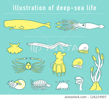 深海生物手繪插畫集 126224907
