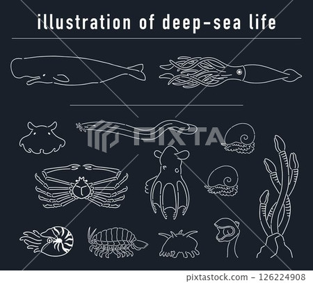 Deep sea creatures hand drawn illustration set 126224908