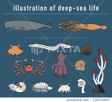 Deep sea creatures hand drawn illustration set 126224909
