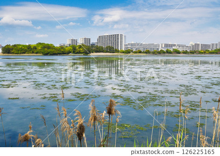 Yatsu tidal flat (Narashino City, Chiba Prefecture) 126225165