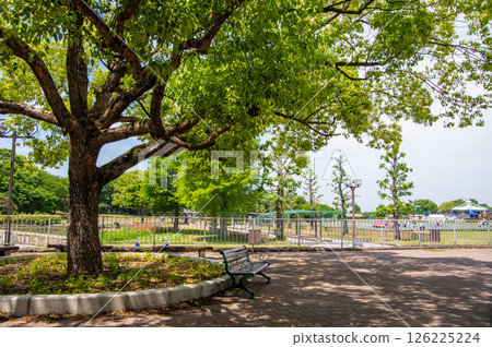 木曾三泉國立公園「木曾三泉公園中心」北區綠色甲板 126225224