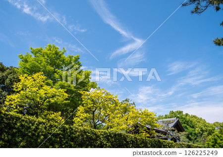 Farmers in the circle around the Kiso-Sansen National Park "Kiso-Sansen Park Center" Farmers in the circle around the Kiso-Sansen National Park "Kiso-Sansen Park Center" 126225249