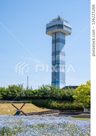國立木曾三泉公園木曾三泉公園中心的觀景塔和粉蝶花田 126225266
