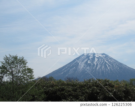 初夏的羊蹄山和藍天 初夏的羊蹄山和藍天 126225306