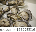 Fresh oysters in the shell 126225516
