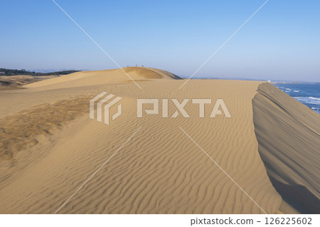 鳥取沙丘美好的風景 鳥取沙丘美好的風景 126225602
