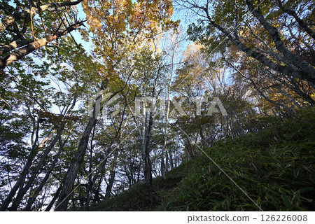 Climbing Mount Daibosatsu, Yamanashi Prefecture 126226008