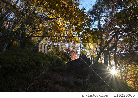 Climbing Mount Daibosatsu, Yamanashi Prefecture 126226009