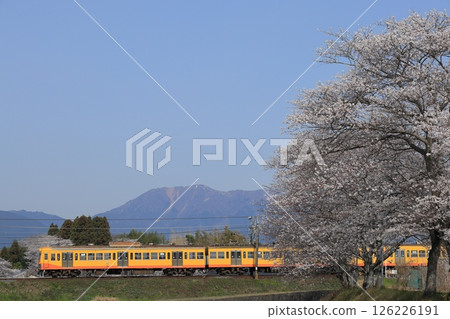 Spring scenery on the Sangi Railway Sangi Line Spring scenery on the Sangi Railway Sangi Line 126226191